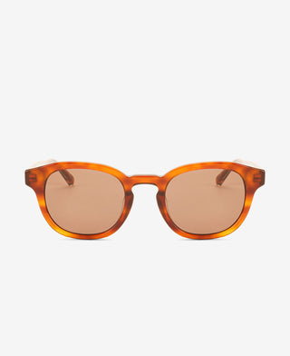 BILLE REVEAL - Havana / Transparent Brown