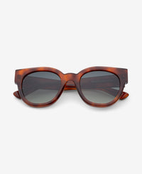 IONA - Burnt Havana Deep Green Gradient
