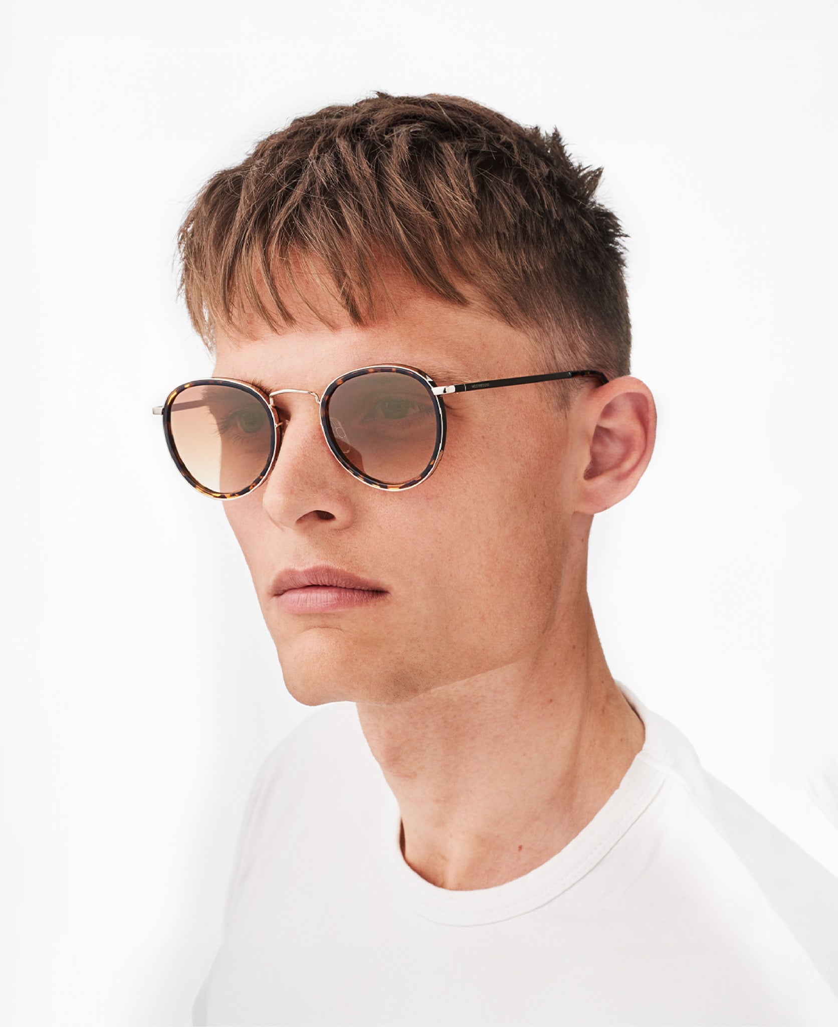 SHACKLETON - Gold Brown